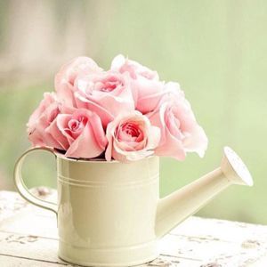 Meet your Posher, Pauli